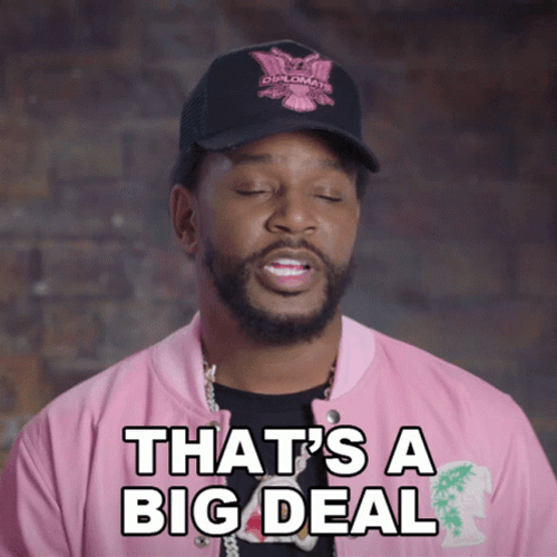 Cam'ron Im Kind Of A Big Deal GIF