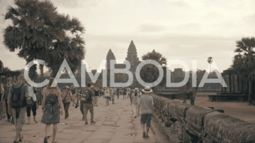 Cambodia Angkor Siem Reap Tour GIF