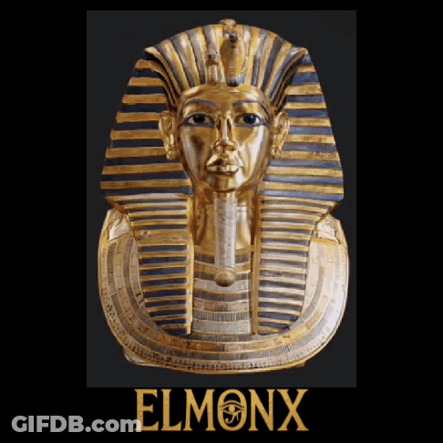 Camel At Pyramids The Order Of The Aisen Tetrahedron GIF