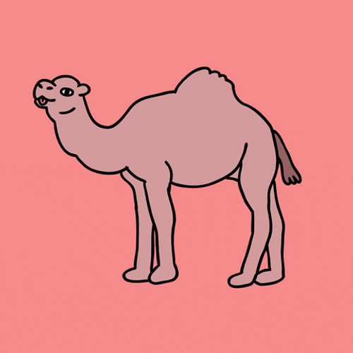 Camel Party Mood Dance GIF