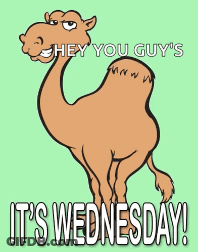 Camel Saying Hey You Guys It's Wednesday GIF