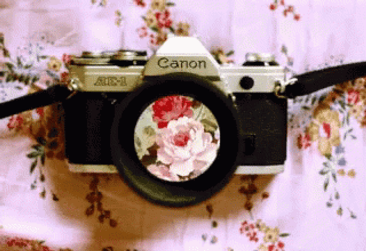 Camera Lens Flowers GIF