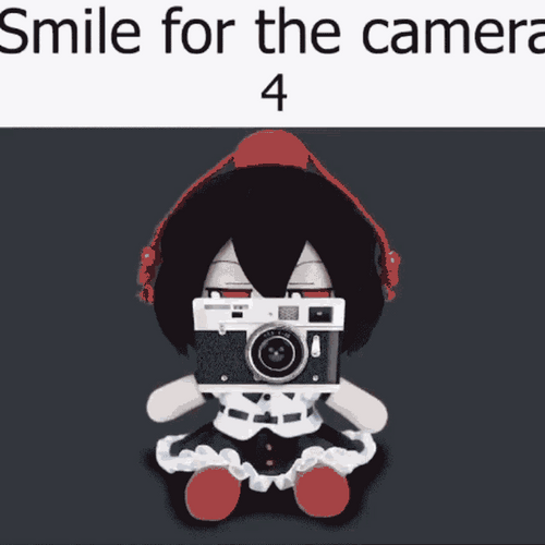 Camera Touhou Fumo GIF