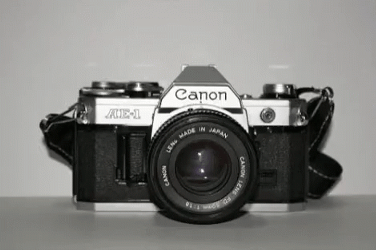 Camera Vintage National Camera Day GIF