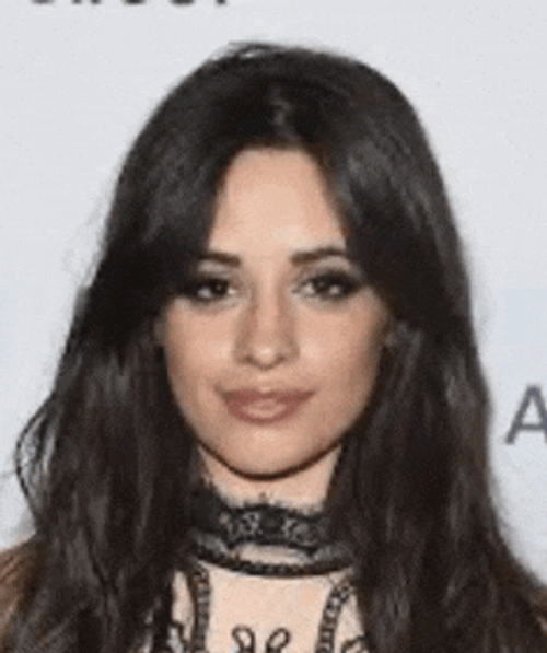 Camila Cabello Meme GIF