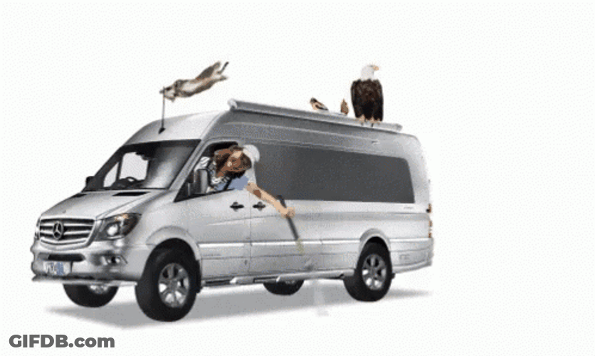 Camper Hitting Pine Trees GIF