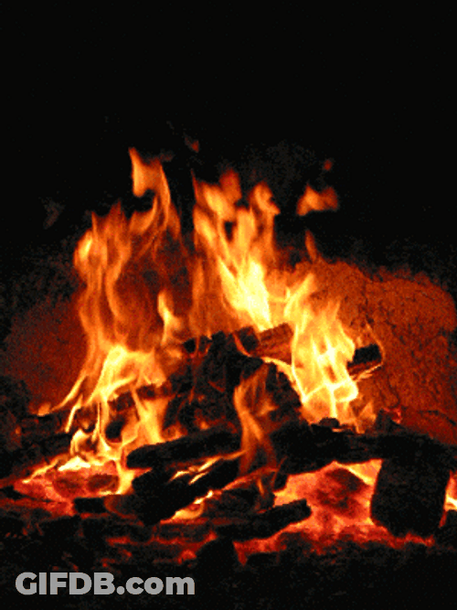 Campfire Bonfire Burning GIF