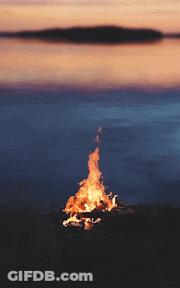 Campfire Lit At Sunset Lake GIF