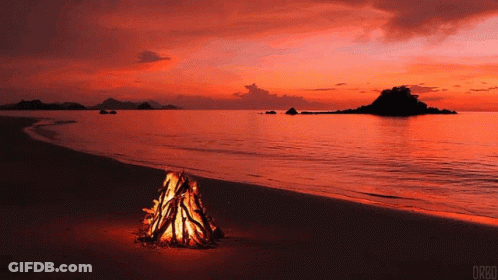 Campfire On Beach At Sunset GIF