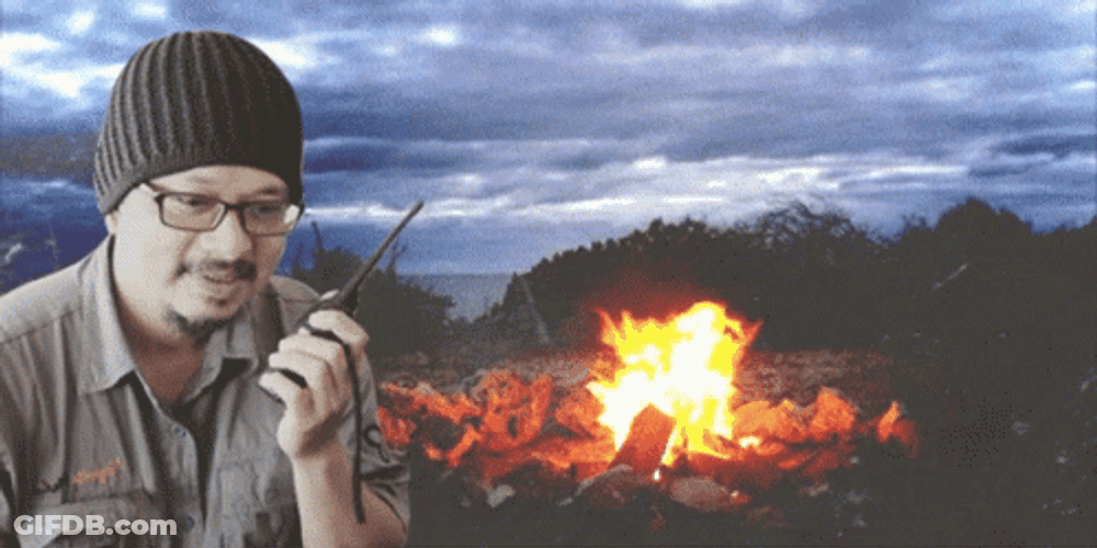 Campfire GIF