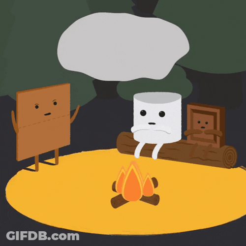 Camping Bonfire Scary Stories GIF