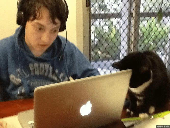 Can Disturb Man Working Laptop GIF