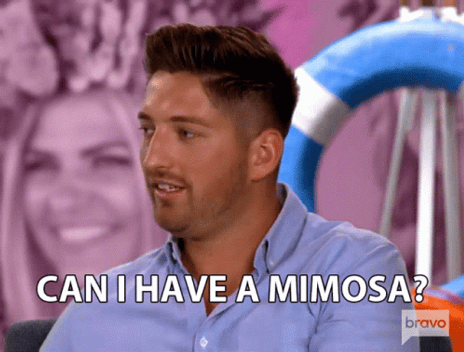 Can I Have Mimosa GIF