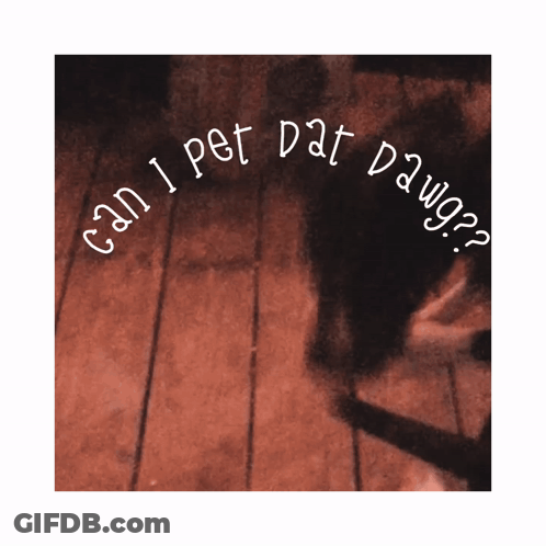 Can I Pet Dat Dawg Dog GIF
