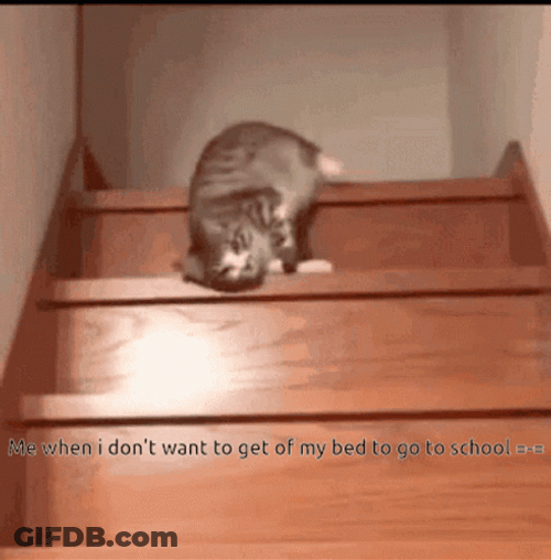 Can Lazy To Come Down GIF