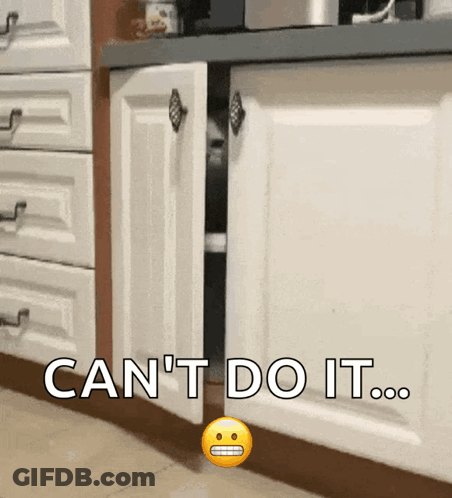 Can't Do It Cabinet GIF