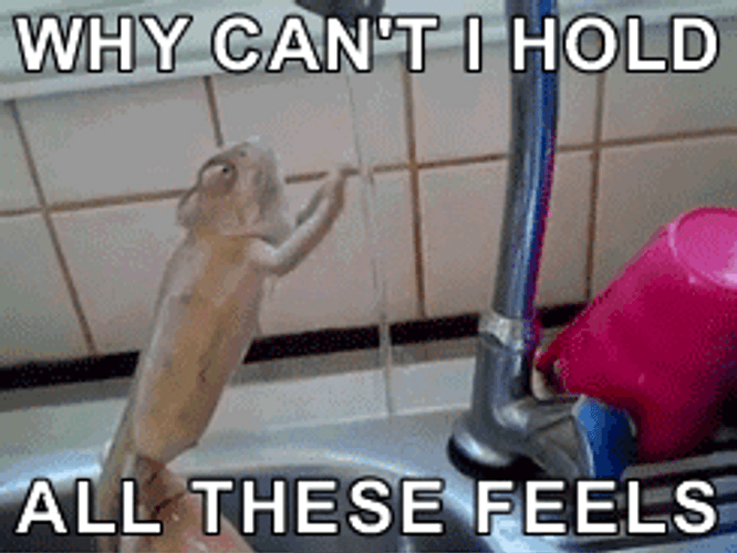 Can't Hold These Feels GIF