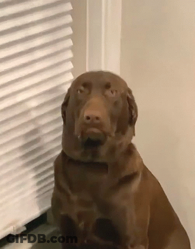 Can't Sleep Before Early Wake Up GIF
