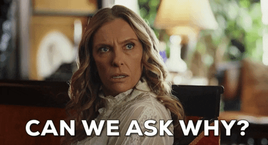 Can We Ask Why GIF