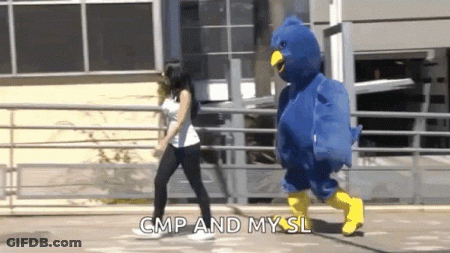 Can You Stop To Follow Me Up GIF
