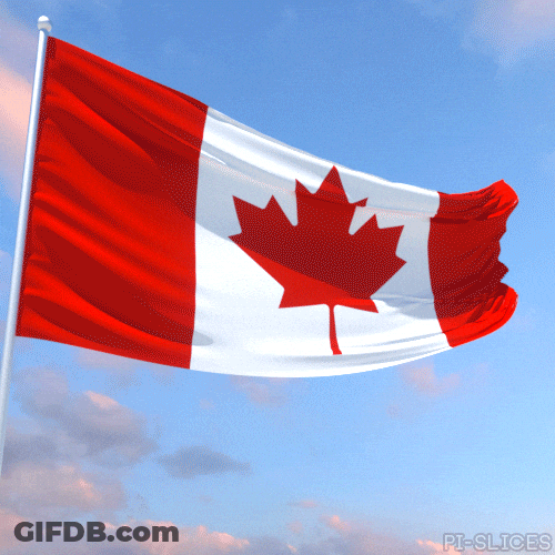 Canada Day Flag Proudly Waves GIF