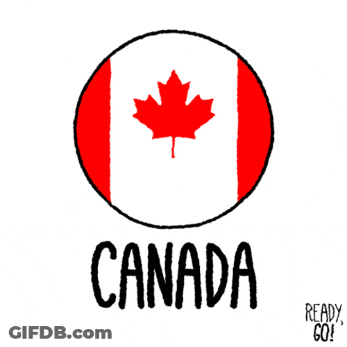Canada Day Jumping Beaver Digital Creation GIF