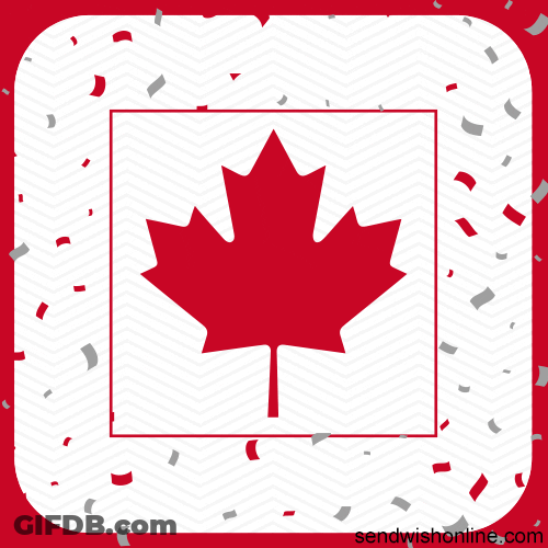 Canada Day Maple Leaf Confetti Flying GIF