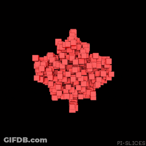 Canada Day Pi Slices Maple Leaf GIF