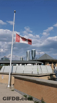 Canadian Flag Flying In Front Of Brick Building GIF