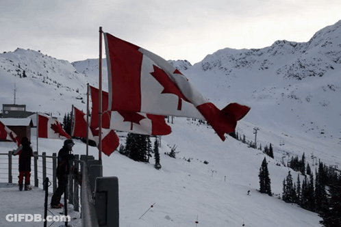Canadian Flag Flying In Wind And Snow GIF