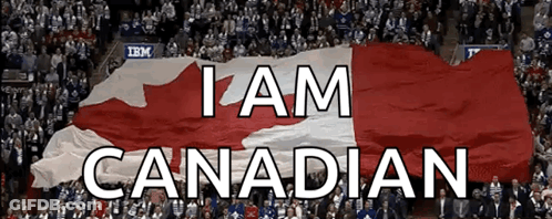 Canadian Flag In Front Of Crowd GIF