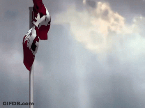 Canadian Flag Waving In Wind GIF