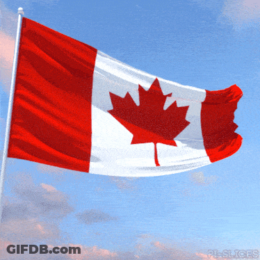 Canadian Flag Waving In Wind GIF