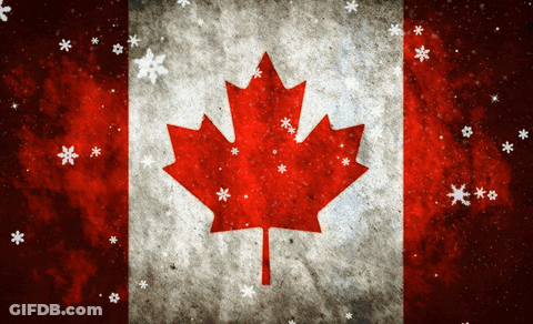 Canadian Flag With Red Maple Leaf GIF