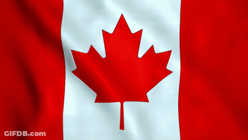 Canadian Flag With Red Maple Leaf GIF