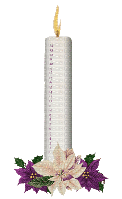 Candle Animation Flowers GIF