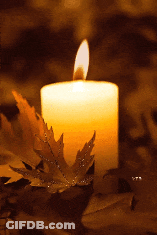Candle Burning Christmas GIF