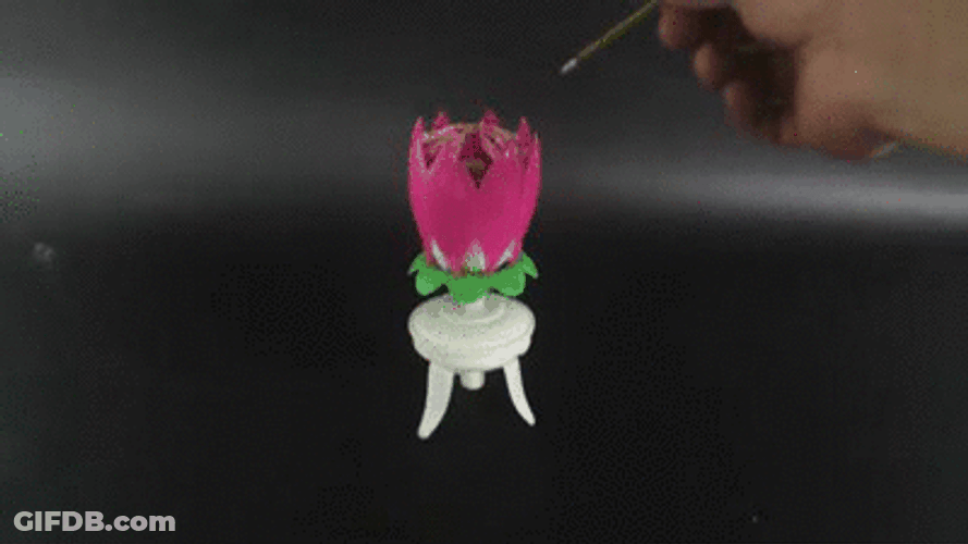 Candle Musical Flower GIF