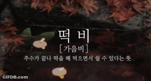 Candles In Pond With Foreign Language GIF