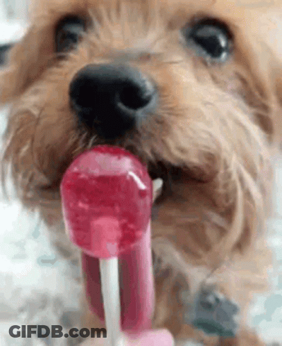 Candy GIF