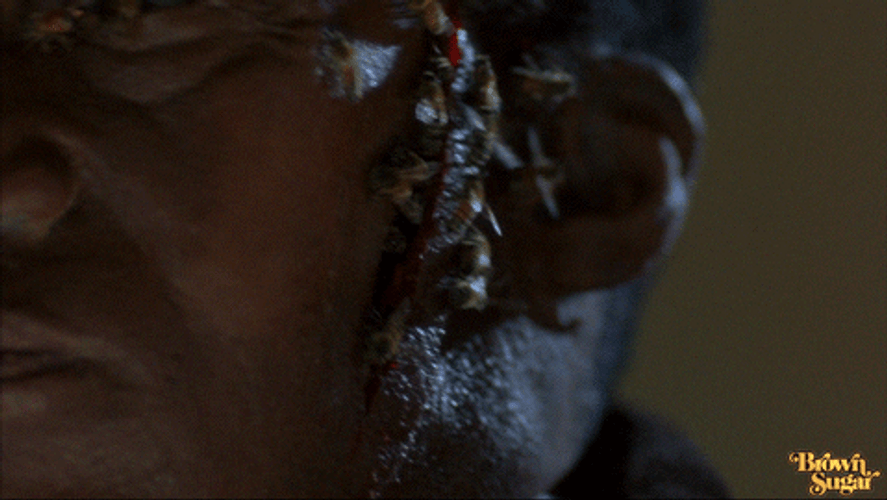 Candyman Day Of The Dead GIF