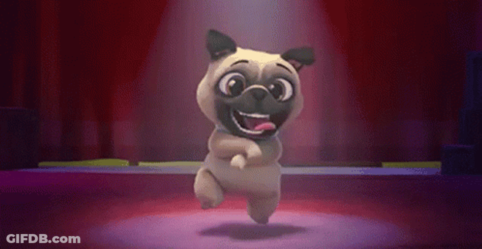 Cane Che Balla Dancing Dog GIF