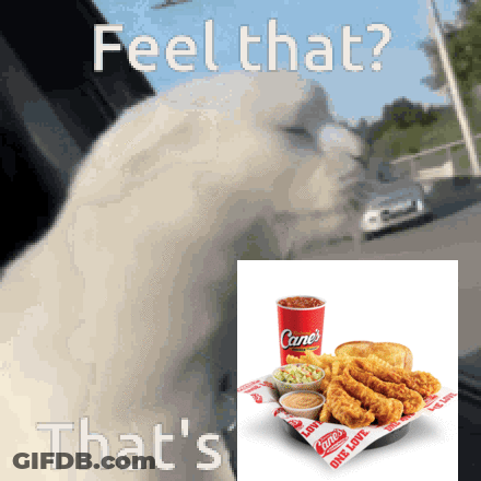 Cane's Chicken Sandwich And Cane's Soda GIF