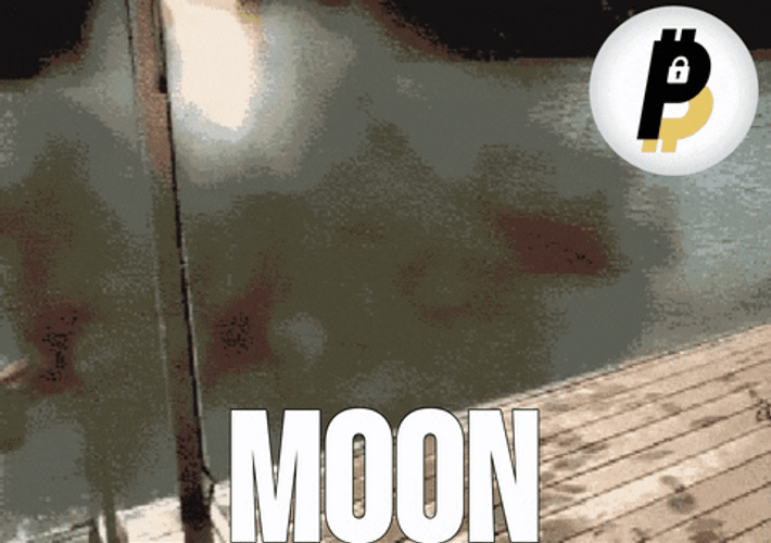 Cannon Ball Jump BitPal Funny Meme GIF