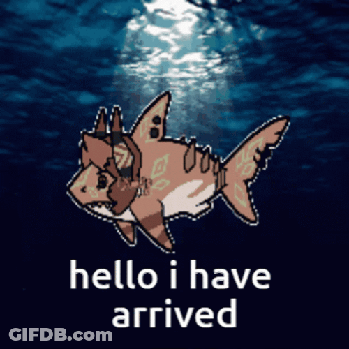 Canojar Shark Hello I Have Arrived GIF