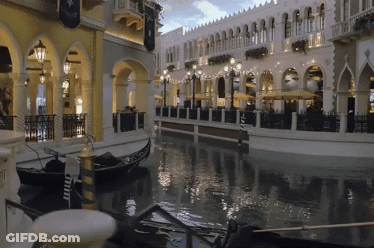 Canonita Las Vegas GIF