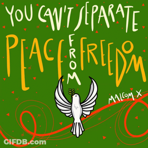 Cant Separate Peace From Freedom Peace GIF