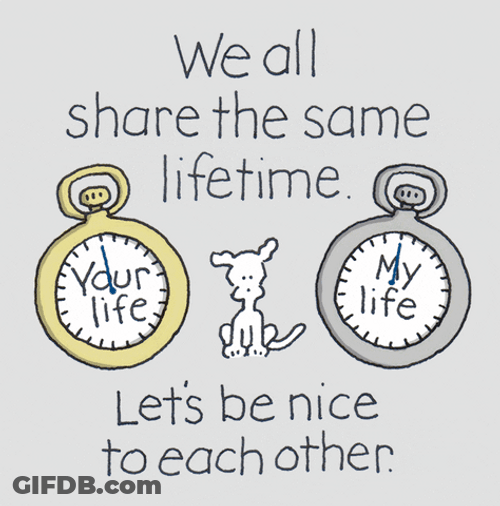 Cant We All Just Get Along Chippy Dog GIF