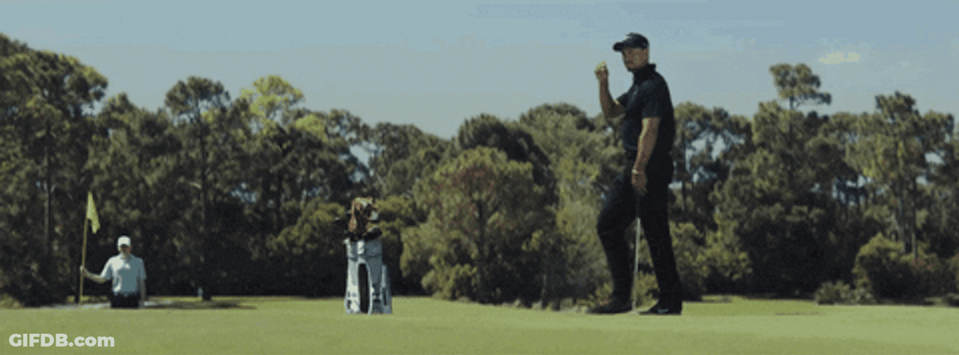 Cap Serious Playing Golf GIF