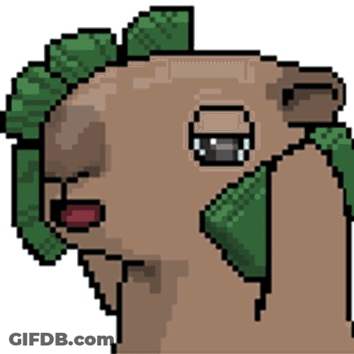 Cappies The Cappies GIF